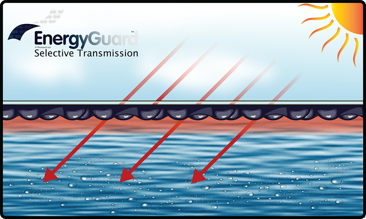 EnergyGuard selective transmission landscape w logo
