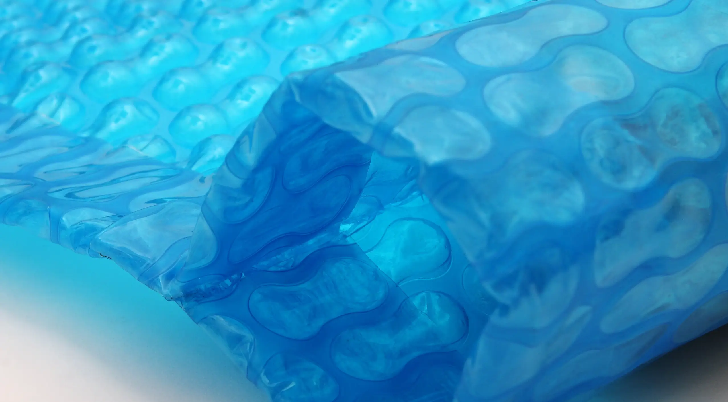 pool cover